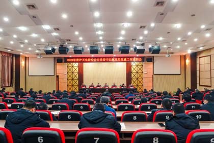 尊龙凯时-ag凯龙时代-人生就是拼搏股份公司召开2022年度党委书记抓基层党建工作述职暨领导班子和领导人员考核工作会